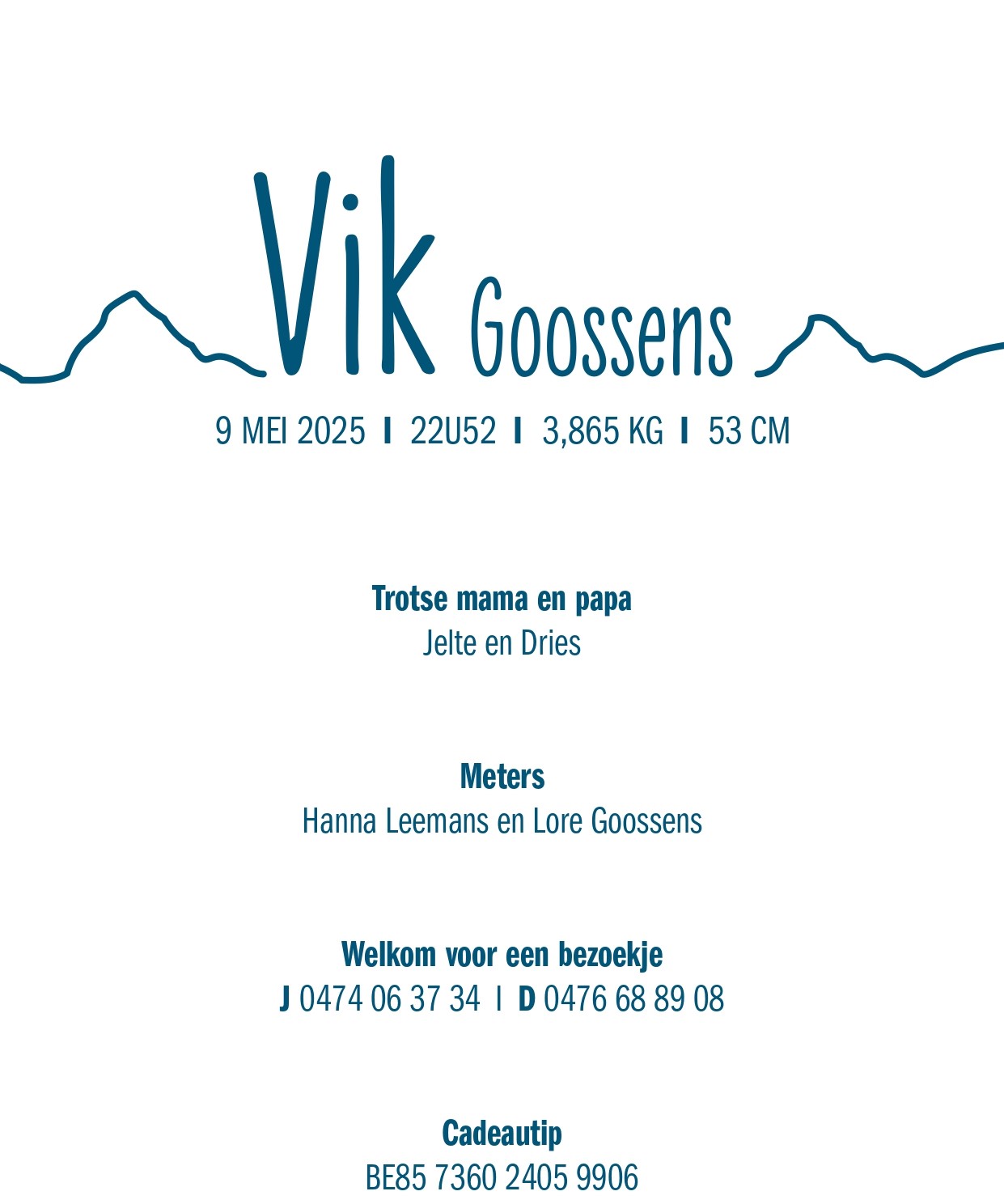 Vik Goossens